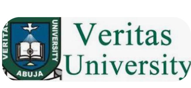 Don,advocates,policies,encourage,youth,participation,governance,Dr Chukwudi,Odoeme,Director-of-Debates,Lecturer,Faculty-of-Law,Veritas-University,Abuja,Veritas,University,My-Nigeria,Our-Nigeria,organised,YIAGA,Africa,Friday,Programme,Officer,Yiaga-Africa,Mr Olaniyan,Sanus