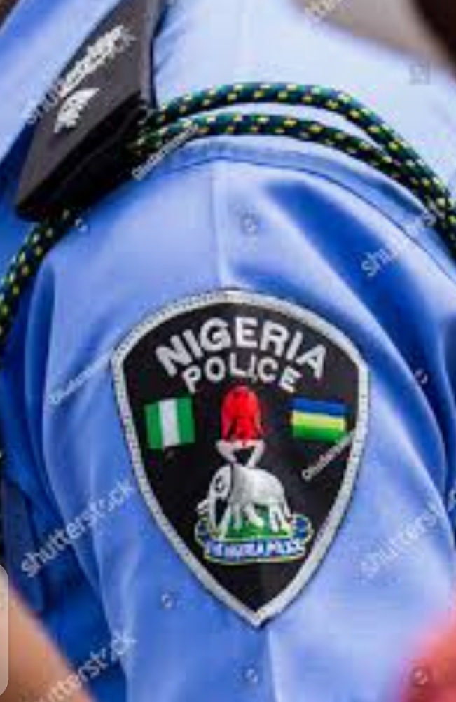 Police,Nasarrawa-State,apprehends,robbery,suspect,possession,gun,Nasarawa check-point,Police-Command,Police-Public-Relations-Officer,PPRO,state,DSP,Ramhan,Nansel,available,newsmen,Sunday,Lafia,robbery-at-Kabayi,Aso-Pada,Mararaba,communities,Karu,Local-Government-Area,LGA,near-the-FCT,personnel,attached,A-Division,check-point,fabricated,Barretta-pistol,one,live-ammunition