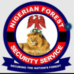 Insecurity: Anambra govt trains forest guards for security operations