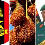 Nigerian Army plants 1m date seedlings